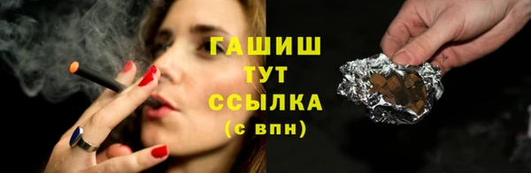 индика Аркадак