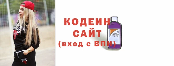 индика Аркадак