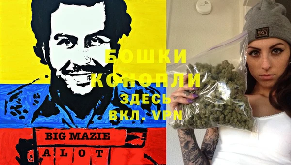 индика Алзамай
