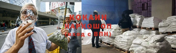 индика Аркадак